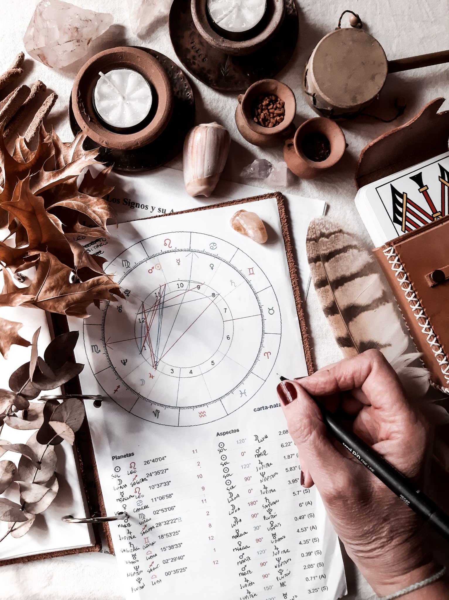 Astrology chart reading